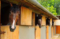 free Thackthwaite stable construction quotes